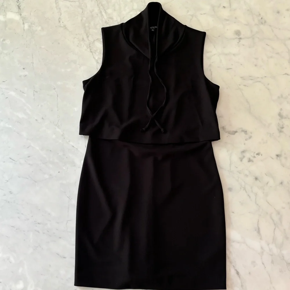 Kenneth Cole Black Label Dress Size M - Picture 3 of 9